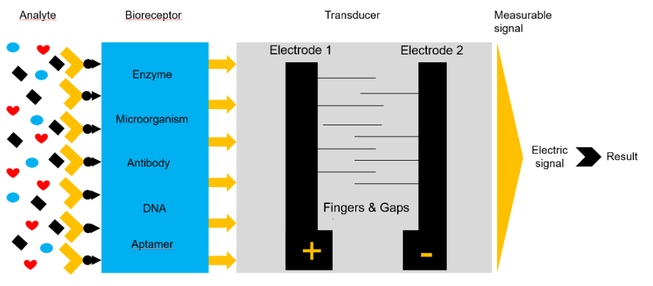 article figure