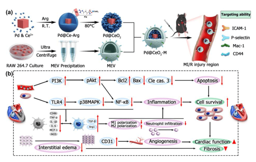 article figure